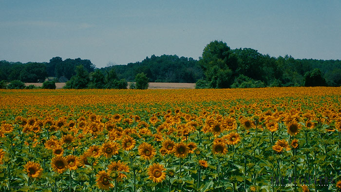 Castle, Puymartin, the believers, paranormal, documentary, documentaire, épisode, château, saison 1,